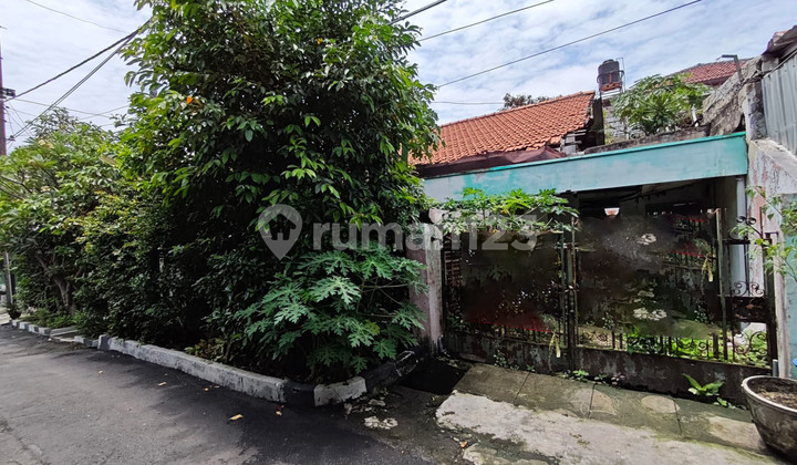 Rumah Hitung Tanah SHM di Darmo Permai 1