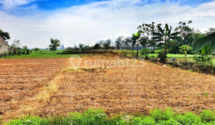 Tanah Strategis Pinggir Jalan Raya Babelan, Bekasi Tanah Strategis Pinggir Jalan Raya Babelan, Bekasi