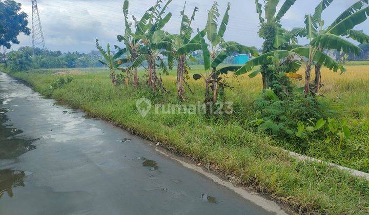 Tanah Bagus Asri Area Njambon Jl. Kabupaten Dalam Ringroad Dekat Ske Sindhupark, Jcm, Malioboro 1