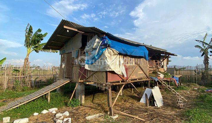 Tanah 1615m, Rumah 63m, Cocok Untuk Pertanian, Kebon, Peternakan 2