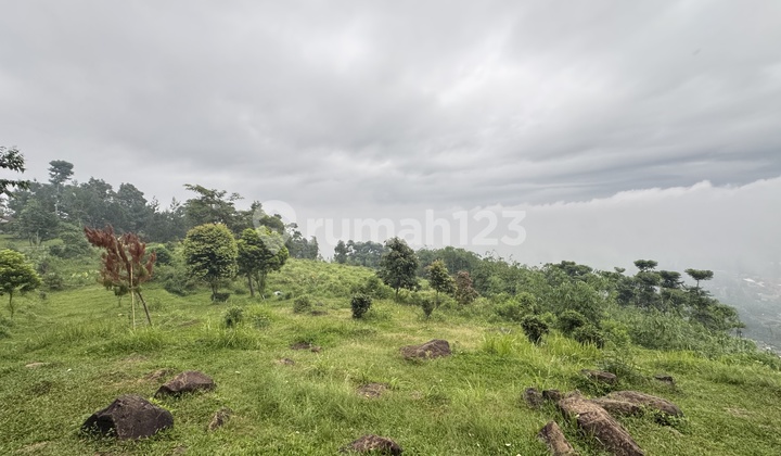 Dijual Tanah Premium - Gunung Bunder 2