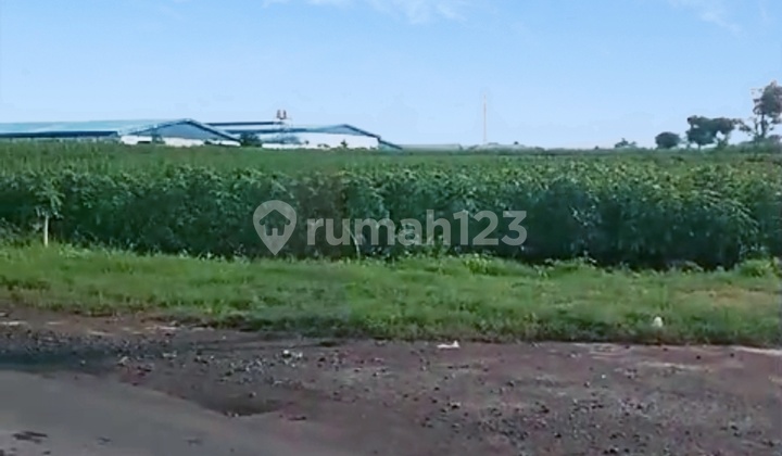 JUAL TANAH INDUSTRI STRATEGIS JEPARA