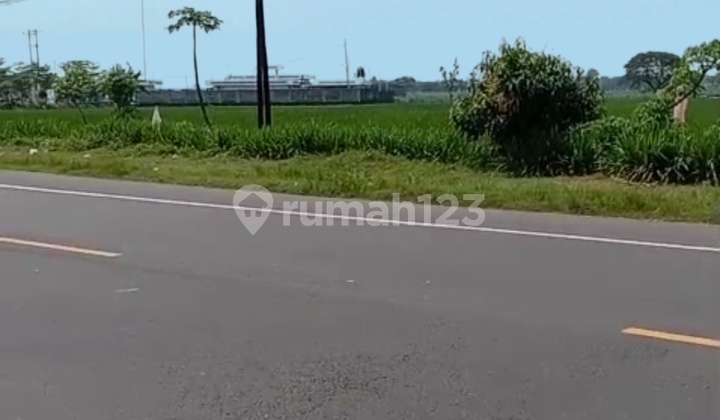 Jual Tanah Industri Strategis Jl. Nasional Sragen Jual Tanah Industri Strategis Jl. Nasional Sragen