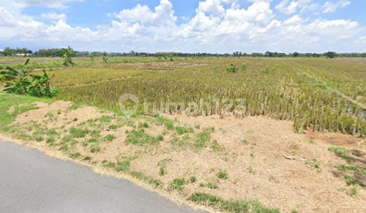 JUAL TANAH INDUSTRI SRAGEN, JAWA TENGAH JUAL TANAH INDUSTRI SRAGEN, JAWA TENGAH