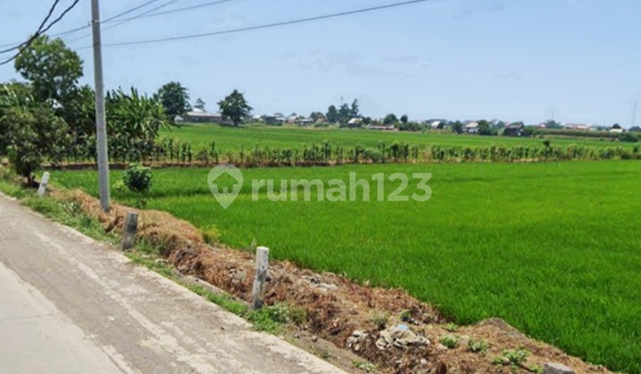 JUAL TANAH INDUSTRI STRATEGIS KALIWUNGU