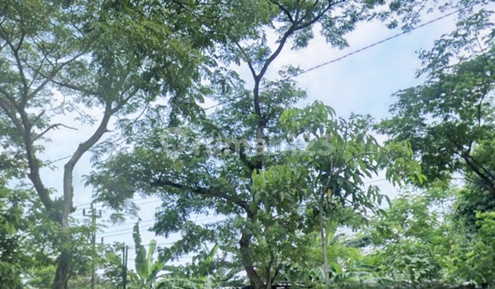 JUAL TANAH KOMERSIAL STRATEGIS JL. RAYA NGALIYAN, SEMARANG 2