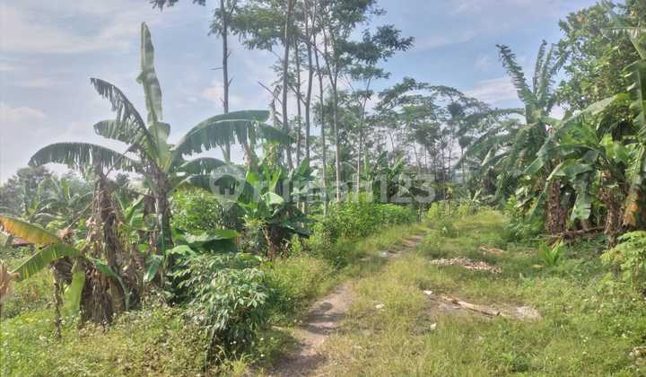 For Sale, Industrial Land in Pringapus Bawen, Semarang Regency 1