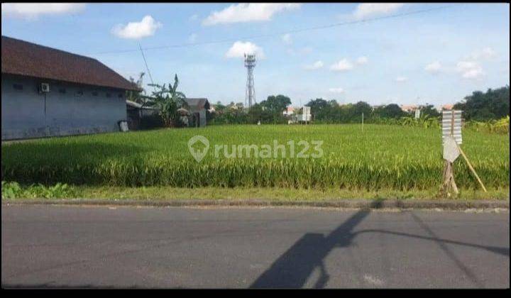 Tanah di Jalan tanah sampi kerobokan kaja kuta utara badung bali 7