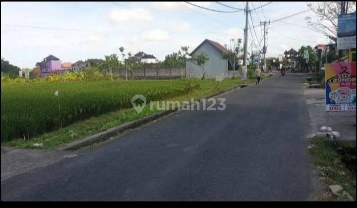 Tanah di Jalan tanah sampi kerobokan kaja kuta utara badung bali 6