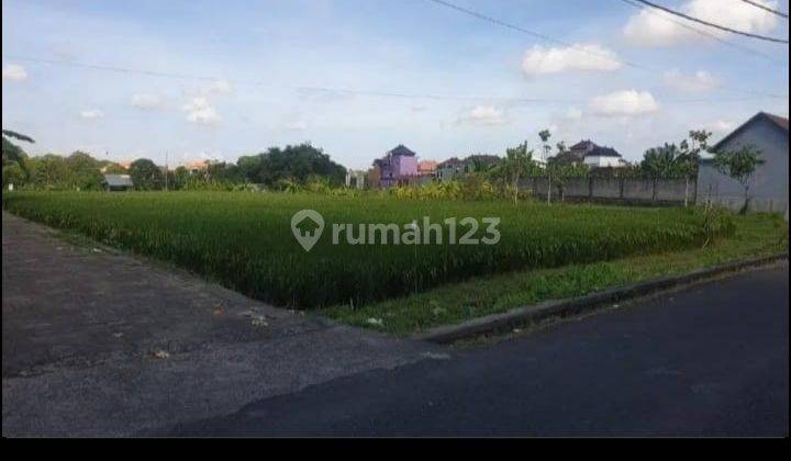 Tanah di Jalan tanah sampi kerobokan kaja kuta utara badung bali 8