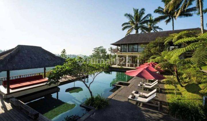 Luxury Villa di ubud dg pemandangan sawah tebing dan sungai 2