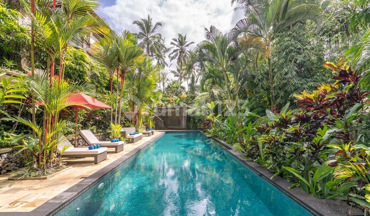 Exotic View Villa Jungle Rice Field River in Ubud Bali Area 2
