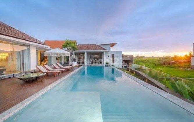 Luxury Villa In Canggu Badung Bali View Rice Field 1