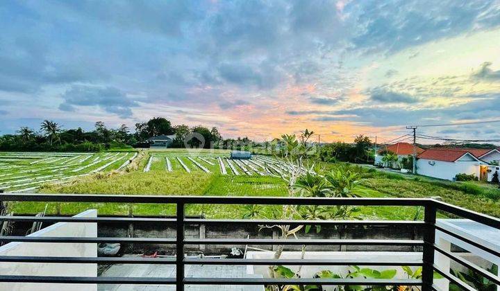 Beautiful Fantastic Villa Rice field view in Cemagi 2