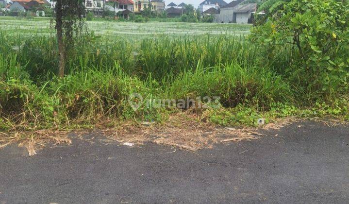 Tanah Lingkungan Tenang Dan Nyaman Di Sedap Malam 1