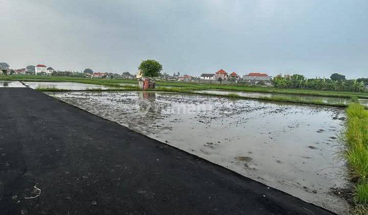 Tanah View Sawah Abadi Lokasi Di Jl.Tunggak Bingin Sanur 1