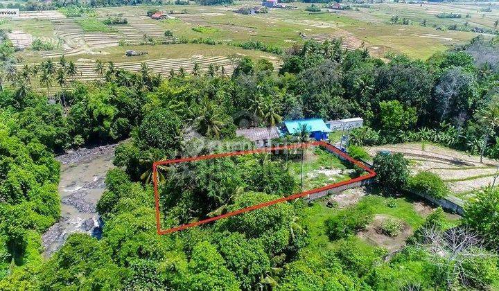 Tanah Lokasi Strategis View Sungai Dan View Hutan Nyanyi 1