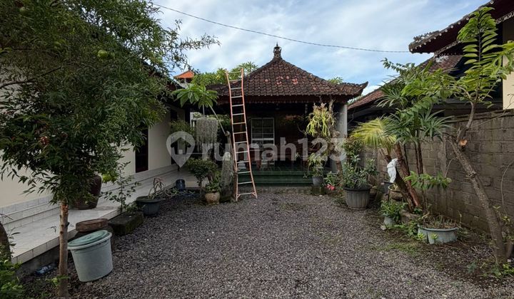 Rumah dengan Halaman Luas Cocok di Buat Kantor Lokasi Renon 2