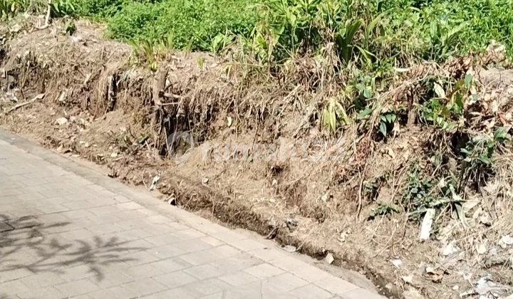 For Lease Land Good Location In Sayan Ubud For Lease Land Good Location In Sayan Ubud