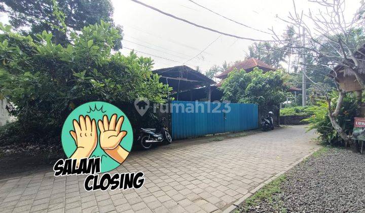 Tanah Lokasi Strategis Lotunduh Ubud Bali  6