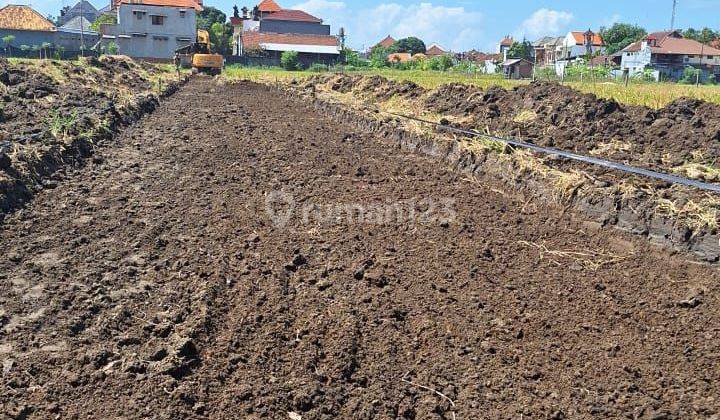 Tanah Kavling Cocok buat hunian Deket sekolah Sidakarya  2