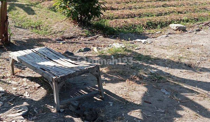 Tanah Siap Bangun Cocok buat hunian atau kosa2san  2