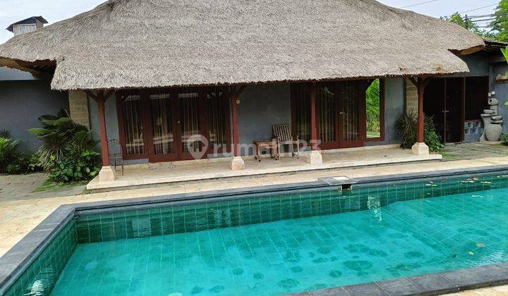 Beautiful Villa big Garden and Pool in Sanur  2