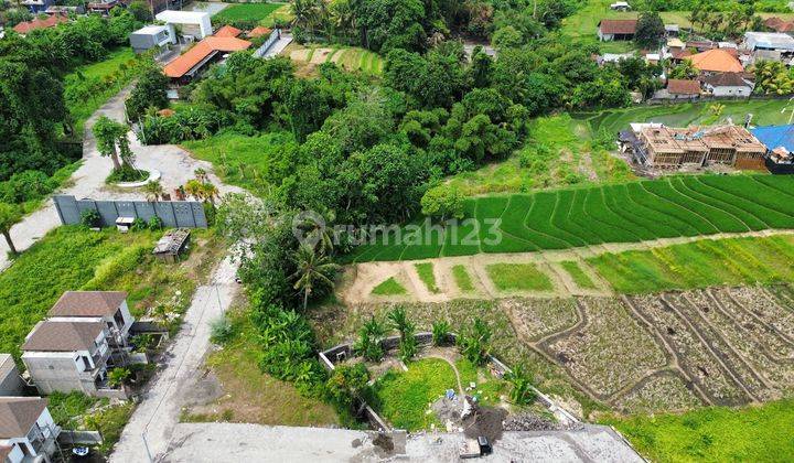 Land Full View Rice Fields One gate system in Kedungu  2