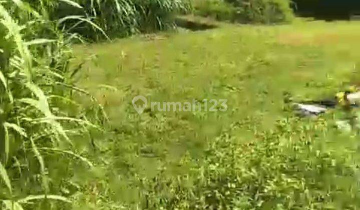 Tanah Siap Bangun Rice Field View In Sanur  1