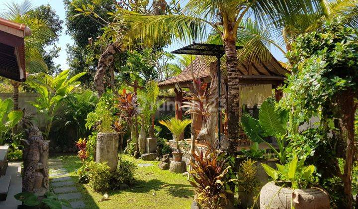 Beautiful Villa Joglo Stley Big Garden In Sanur  2