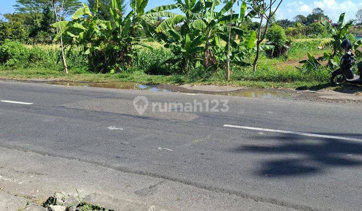 Tanah Jalan Utama Watibamg Denpasar Timur  1