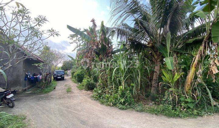 Tanah lingkungan Perumahan Di Serongga Gianyar Bali  1