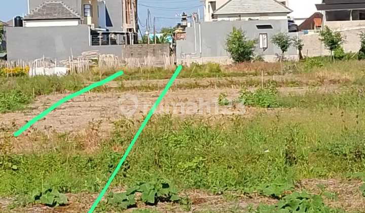 Tanah Kavling Lokasi Strategis Siapa Cepat Dia Dapat Di Tukad Balian Renon Tanah Kavling Lokasi Strategis Siapa Cepat Dia Dapat Di Tukad Balian Renon