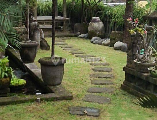 Buc House Style Villa Cheap Location Petitenget Kerobokan Bali 2