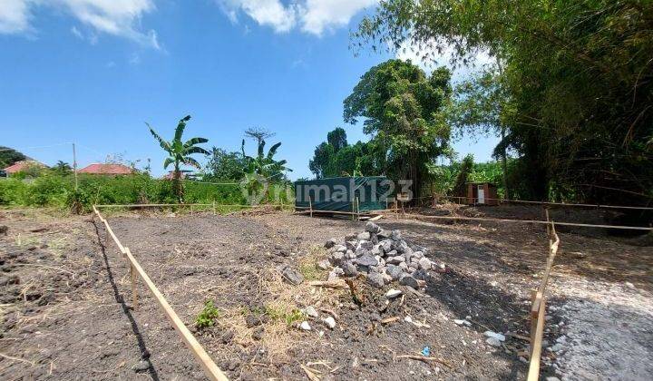 Prime Land Suitable For Private Villa Or House In Pererenan  2