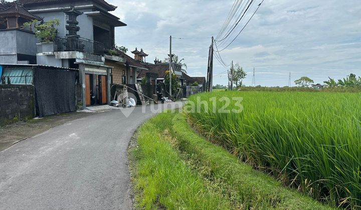 Tanah View Sawah Lokasi di Kaba Kaba Tabanan