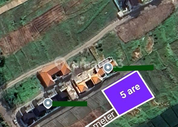 Exlusive Pink Zone Land For Lease In Seseh Munggu Exlusive Pink Zone Land For Lease In Seseh Munggu