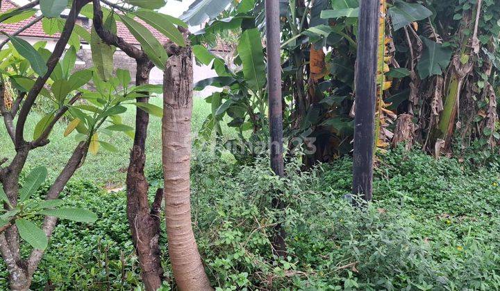 Tanah Siap Bangun Cocok Buat Hunian Pribadi Atau Kosan Lokasi Di Panjer 2