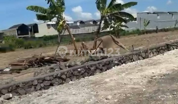 Tanah Kavling Luasan Kecil Lokasi di Padanggalak Sanur Tanah Kavling Luasan Kecil Lokasi di Padanggalak Sanur