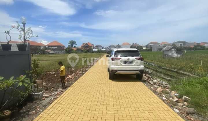 Rice Field View Plot Land in Tukad Balian Renon