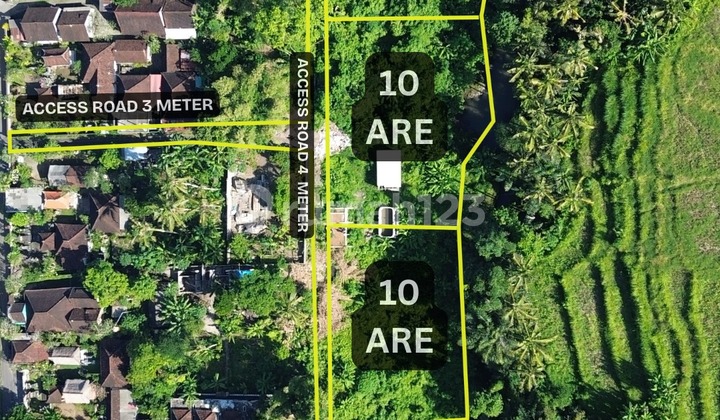 Rice Field View and River View Land in Singapadu Gianyar Near Ubud Rice Field View and River View Land in Singapadu Gianyar Near Ubud