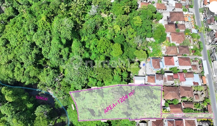 Lahan Pinggir Sungai Disewakan Di Nyambu Kaba Kaba Tabanan Lahan Pinggir Sungai Disewakan Di Nyambu Kaba Kaba Tabanan