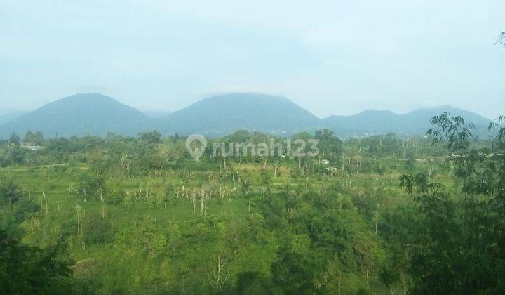 Tanah Lokasi Cocok Buat Perkebunan Kopi Atau Bangun Villa Di Petang Badung 1
