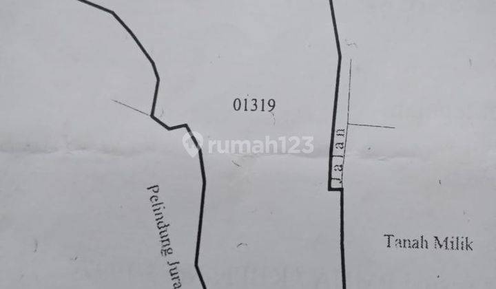 Tanah Lokasi Cocok Buat Perkebunan Kopi Atau Bangun Villa Di Petang Badung 2