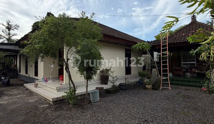 Rumah dengan Halaman Luas Cocok di Buat Kantor Lokasi Renon