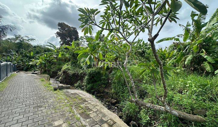 Tanah Cocok Dibangun Perumahan/kosan Lokasi Di Penatih Dentim 2