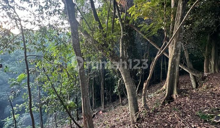 Lahan Pinggir Sungai Disewakan Di Nyambu Kaba Kaba Tabanan Lahan Pinggir Sungai Disewakan Di Nyambu Kaba Kaba Tabanan