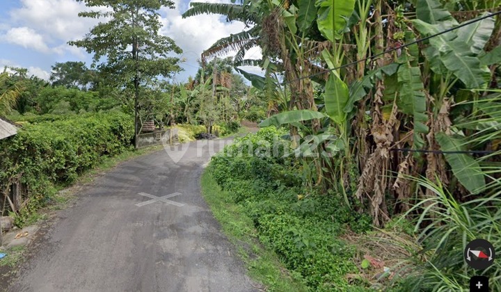 Land Ready to Build Location Dipanak Gede Tabanan Bali