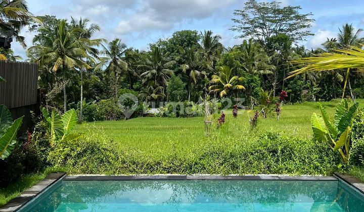 Beautiful Villa Rice Field View In Tampak Siring Near Ubud Beautiful Villa Rice Field View In Tampak Siring Near Ubud