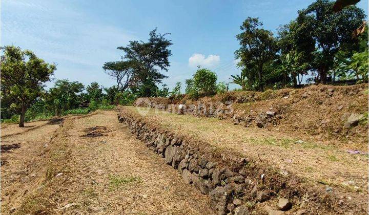 Tanah Dijual Murah Prigen Jawa Timur SHM On Hand Desa Pecalukan Pasuruan 1